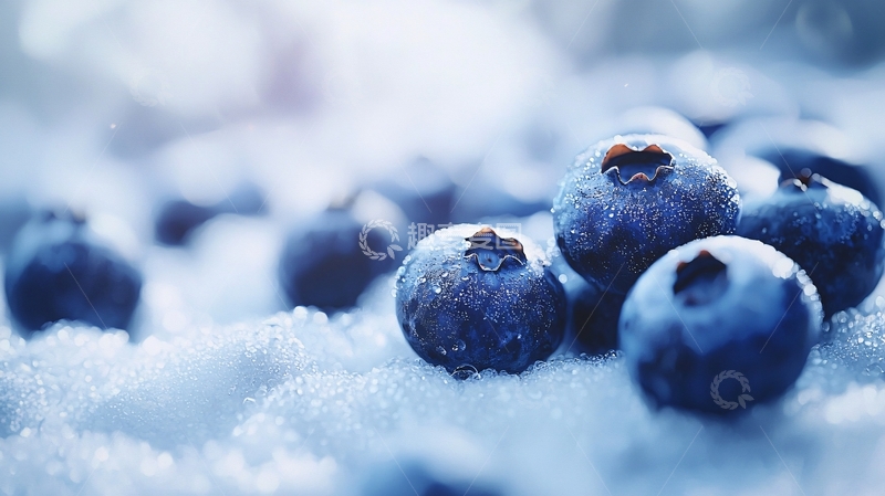 高清大图下载【趣麦麦图】冰雪覆盖的蓝莓