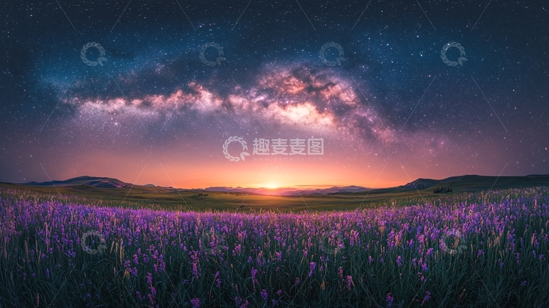 高清大图下载【趣麦麦图】星空下的薰衣草田