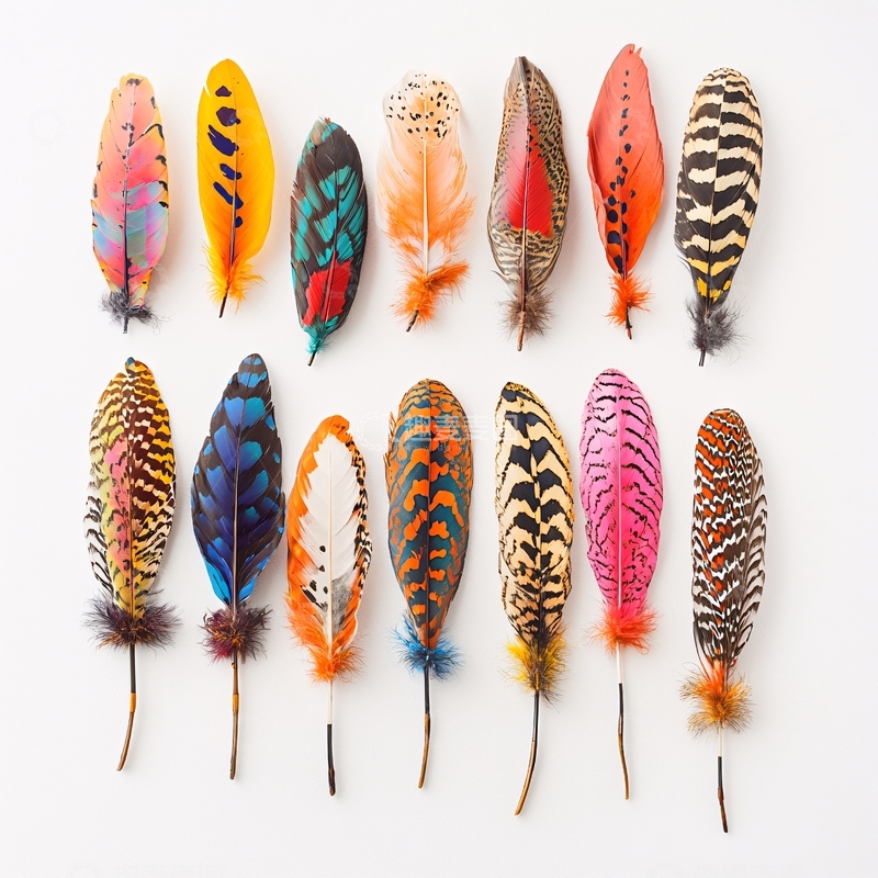 高清大图下载【趣麦麦图】彩色羽毛