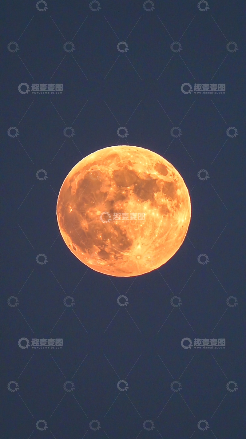 高清大图下载【趣麦麦图】月亮在深蓝背景上