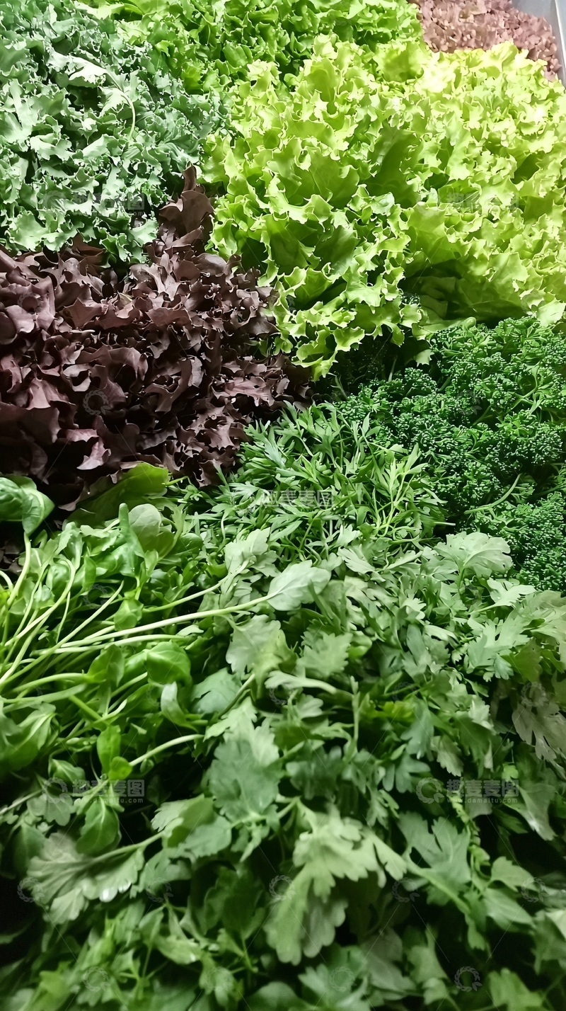 高清大图下载【趣麦麦图】新鲜蔬菜品种组合