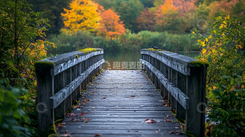 高清大图下载【趣麦麦图】秋日木桥景色