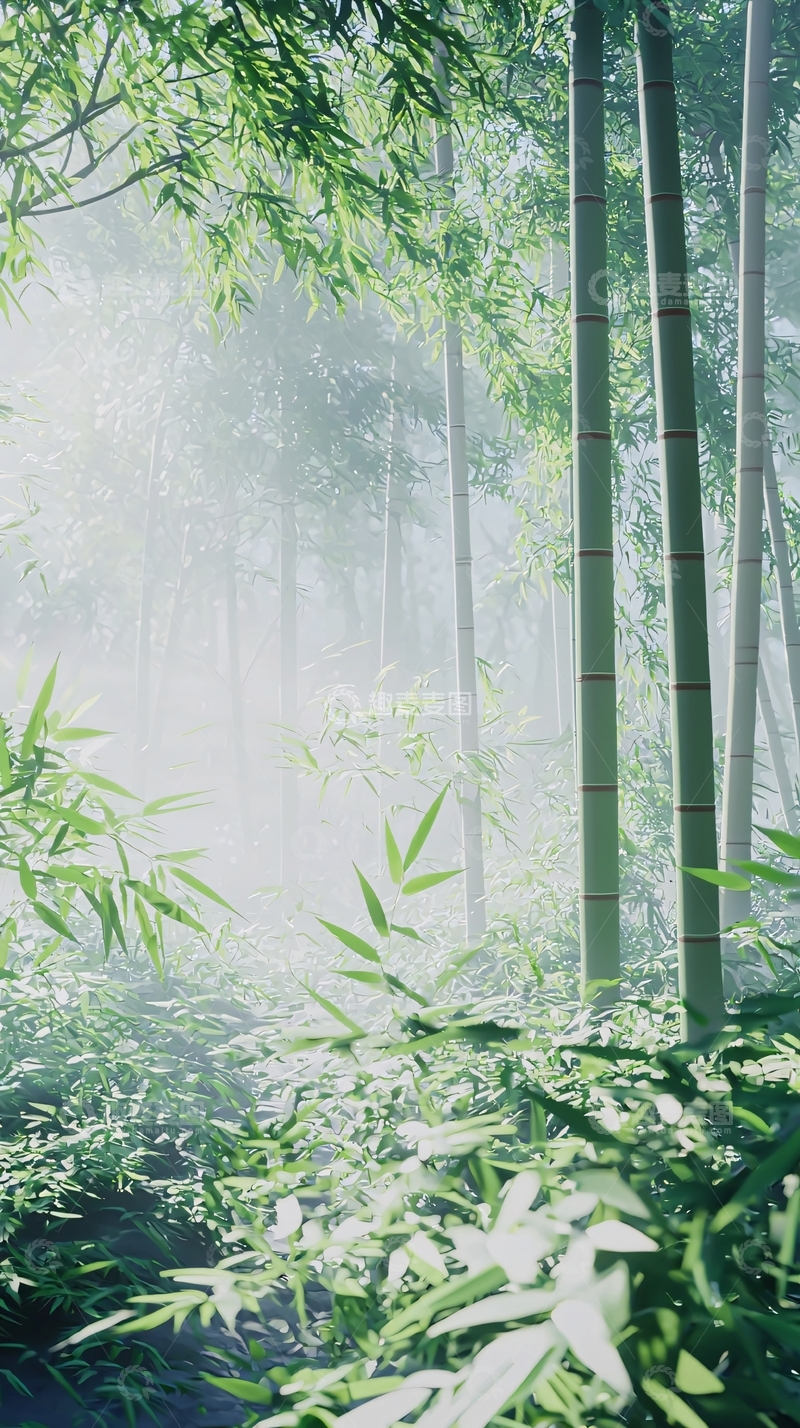 高清大图下载【趣麦麦图】雾气朦胧的竹林深处