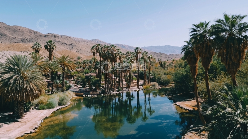 高清大图下载【趣麦麦图】棕榈树下的清澈池塘