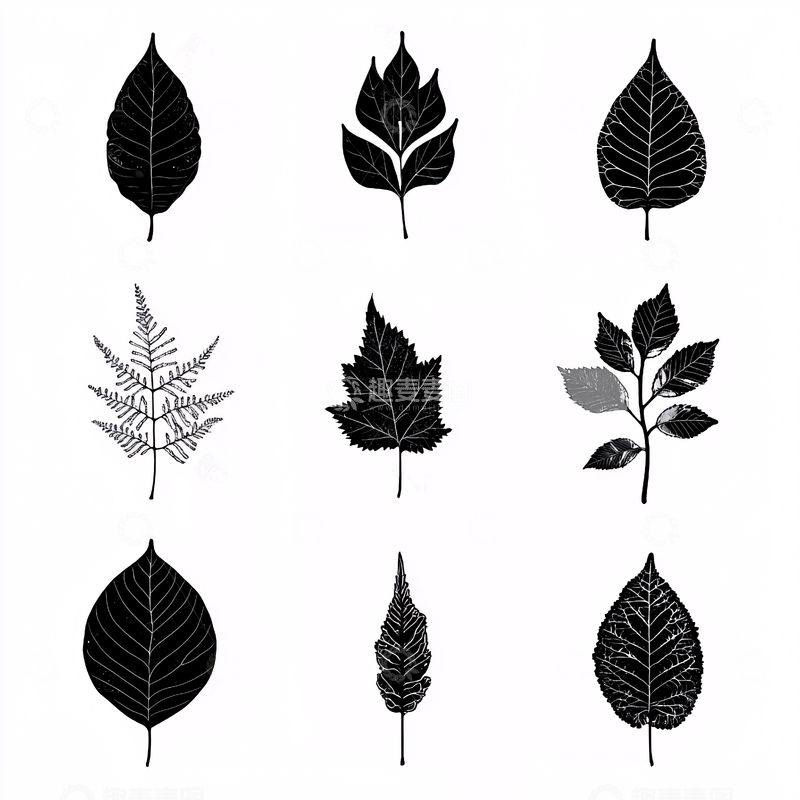 高清大图下载【趣麦麦图】黑白叶子