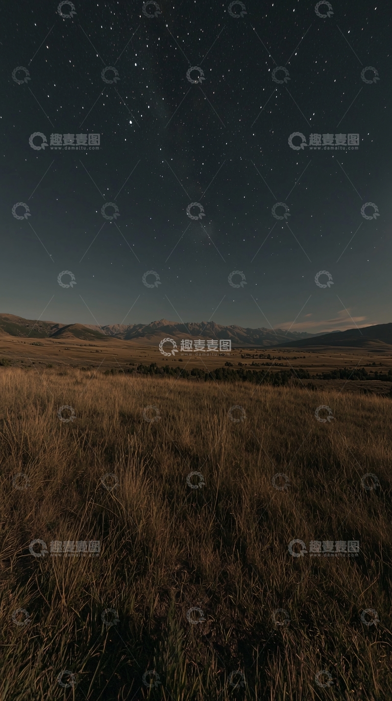 高清大图下载【趣麦麦图】星空下的草原