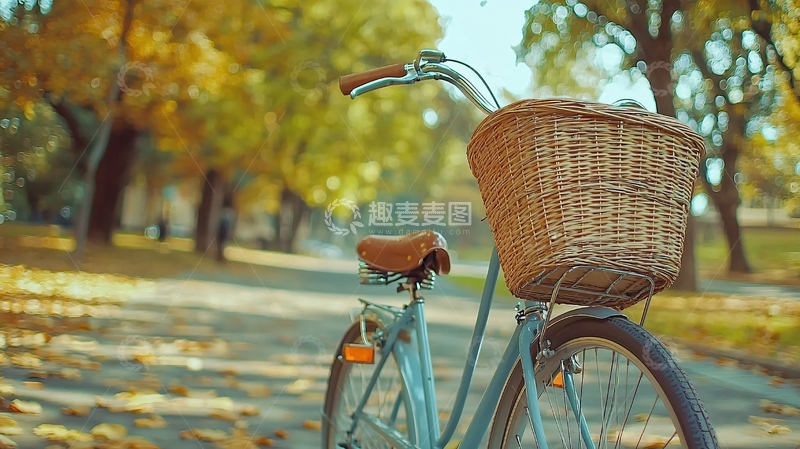 高清大图下载【趣麦麦图】秋日公园自行车