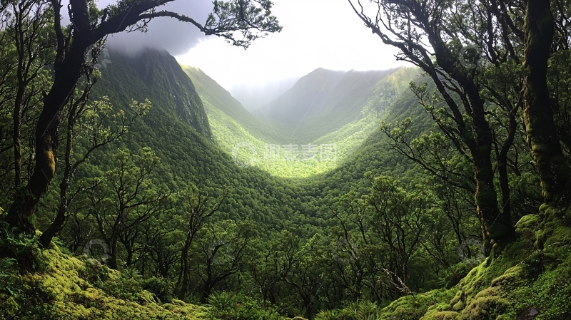 高清大图下载【趣麦麦图】茂密森林环抱的山谷