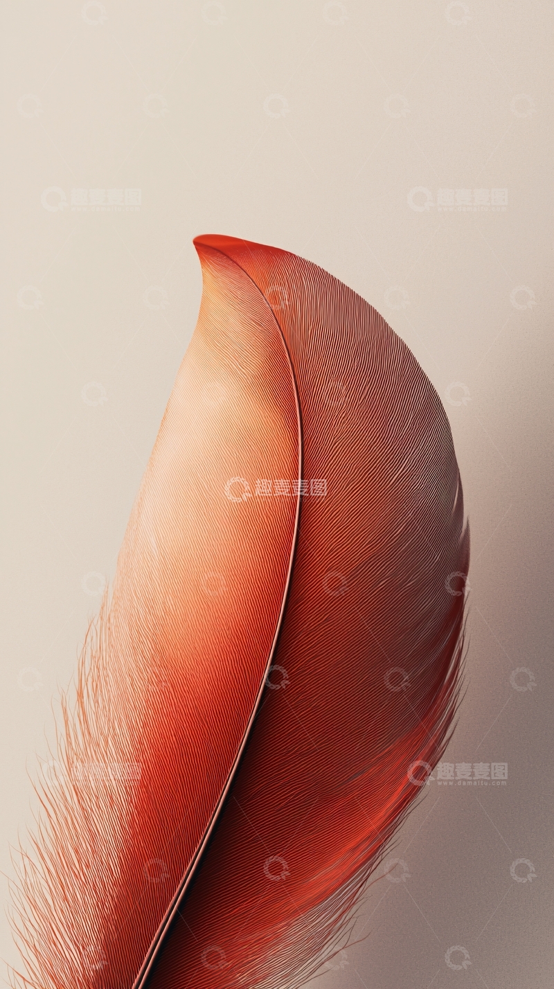 高清大图下载【趣麦麦图】橙色羽毛特写