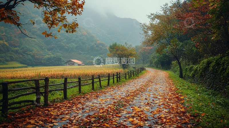高清大图下载【趣麦麦图】秋雨中的乡间小路