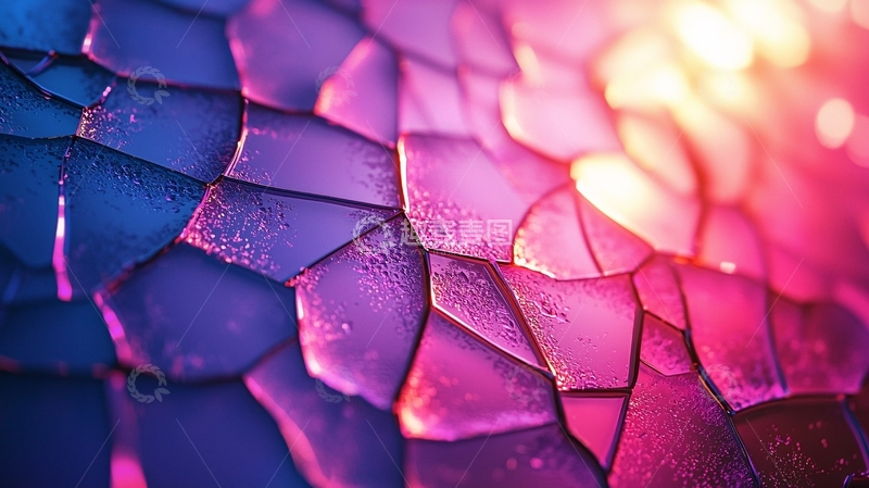 高清大图下载【趣麦麦图】彩色龙鳞特写