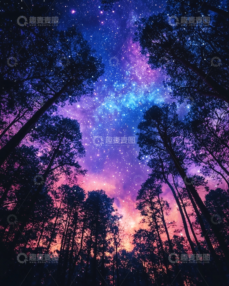高清大图下载【趣麦麦图】星空森林