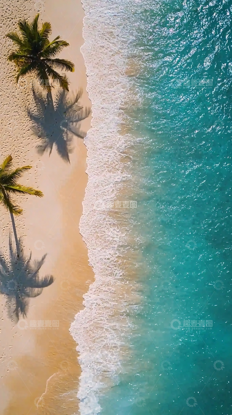 高清大图下载【趣麦麦图】沙滩椰树海边景色