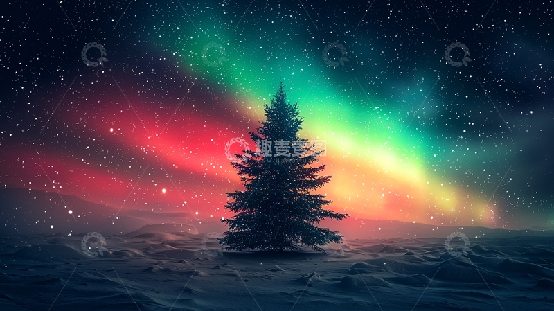 高清大图下载【趣麦麦图】极光下的孤单圣诞树