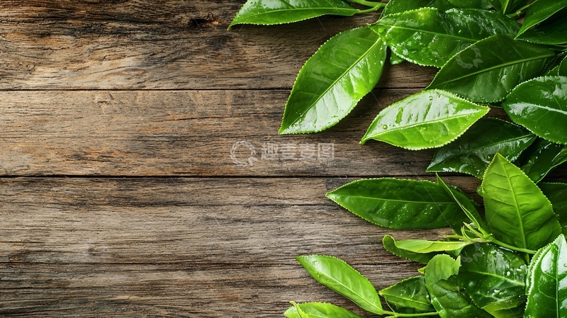 高清大图下载【趣麦麦图】绿叶木质背景