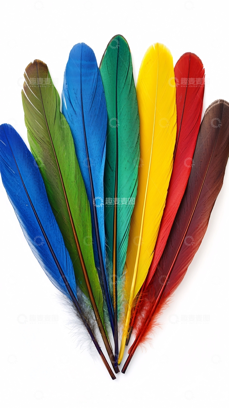 高清大图下载【趣麦麦图】彩色羽毛