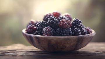 一碗新鲜黑莓