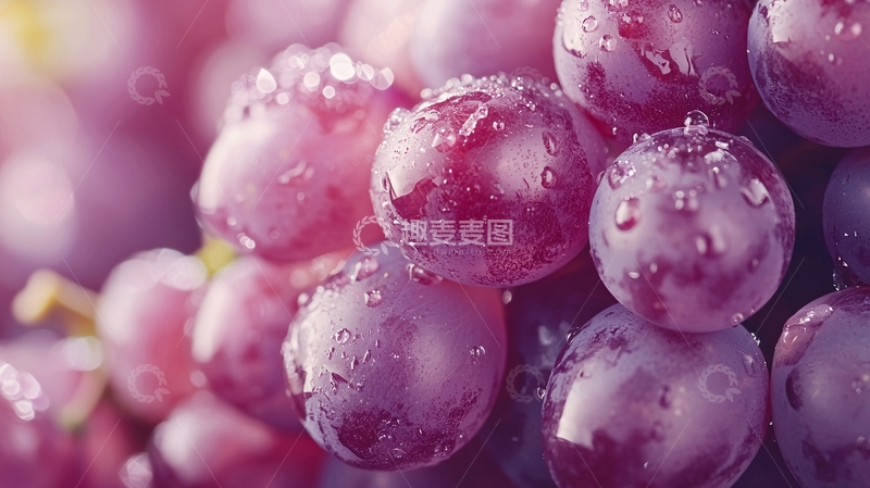 高清大图下载【趣麦麦图】红提葡萄