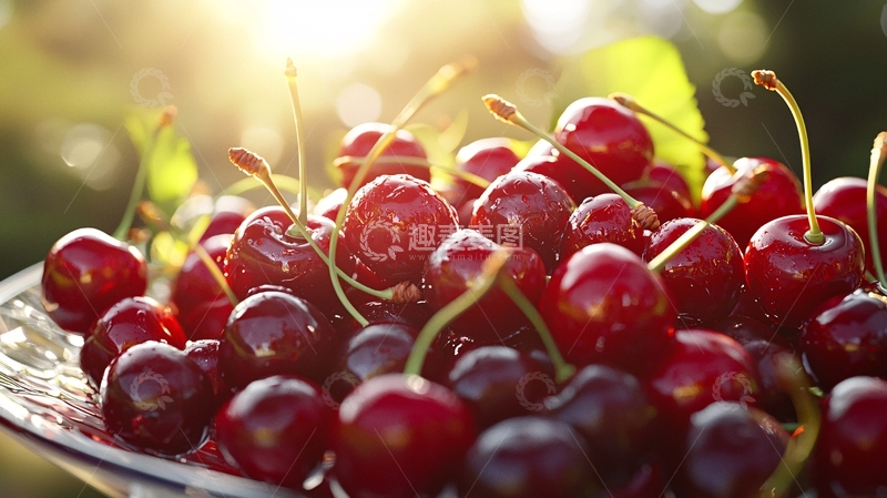 高清大图下载【趣麦麦图】阳光下晶莹剔透的红樱桃