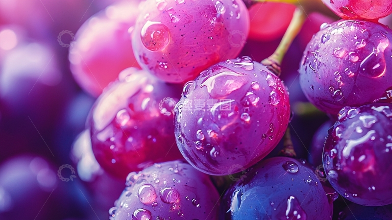 高清大图下载【趣麦麦图】紫红色葡萄