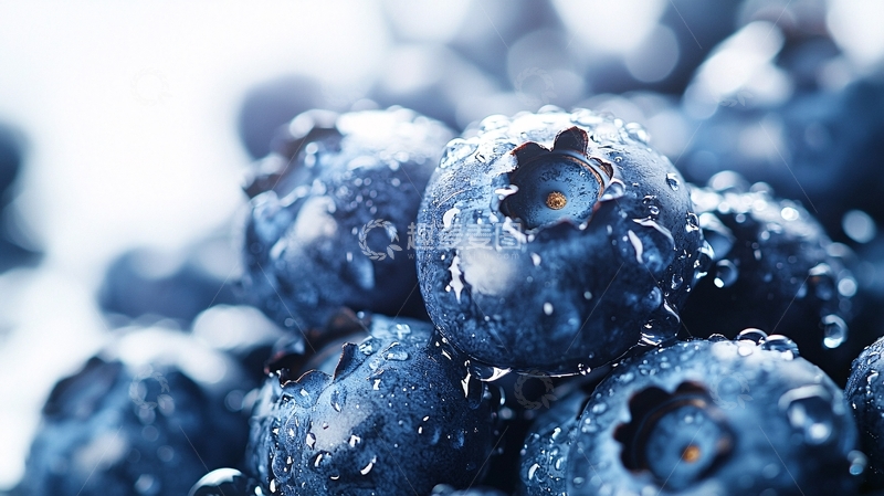 高清大图下载【趣麦麦图】新鲜多汁的蓝莓特写