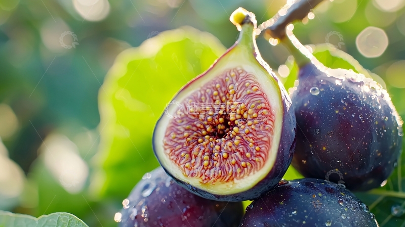 高清大图下载【趣麦麦图】新鲜无花果2