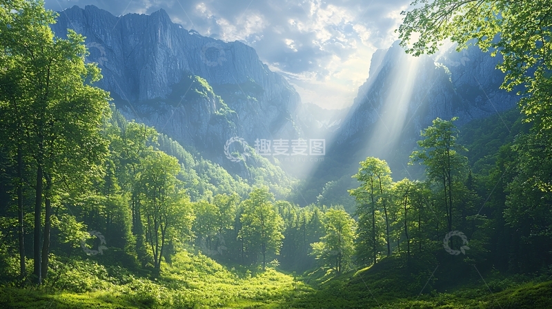 高清大图下载【趣麦麦图】阳光穿过森林的山谷
