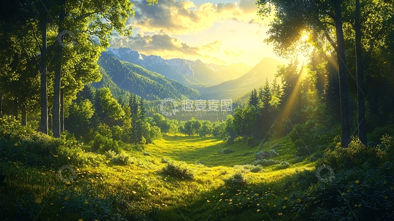 高清大图下载【趣麦麦图】阳光穿过树林照耀山谷