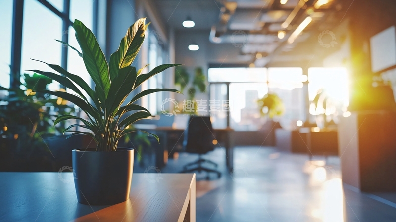 高清大图下载【趣麦麦图】现代化办公室绿植