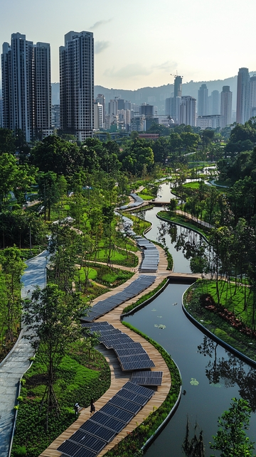 城市公园景观与高楼大厦