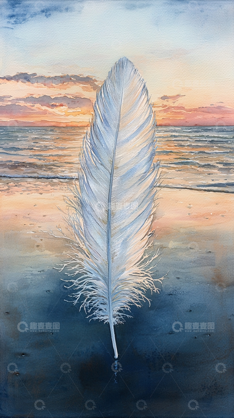 高清大图下载【趣麦麦图】海边羽毛日落美景