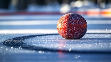 冰壶运动的冰球