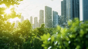 阳光透过树叶照射城市