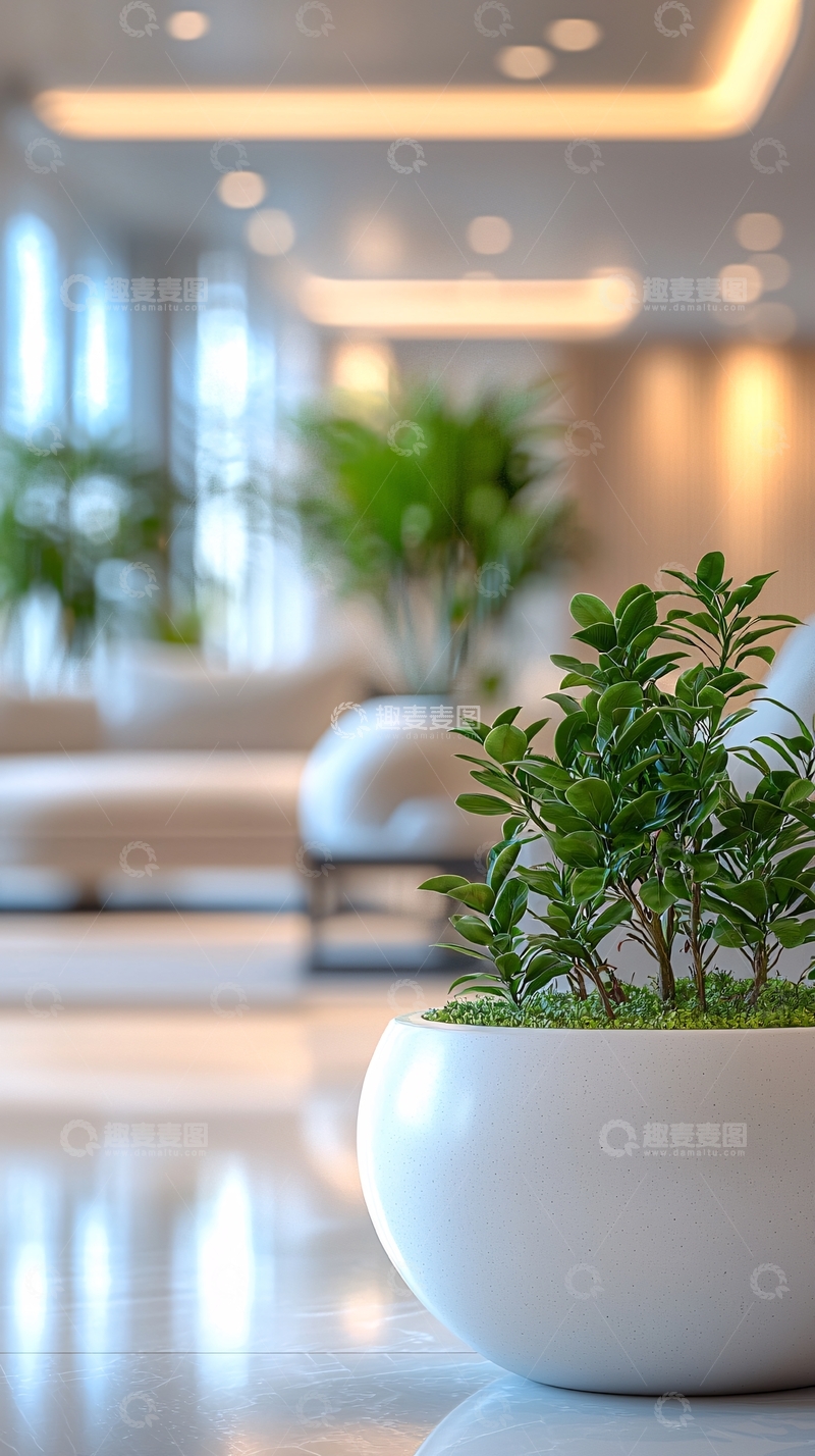 高清大图下载【趣麦麦图】室内绿植盆栽精致摆设