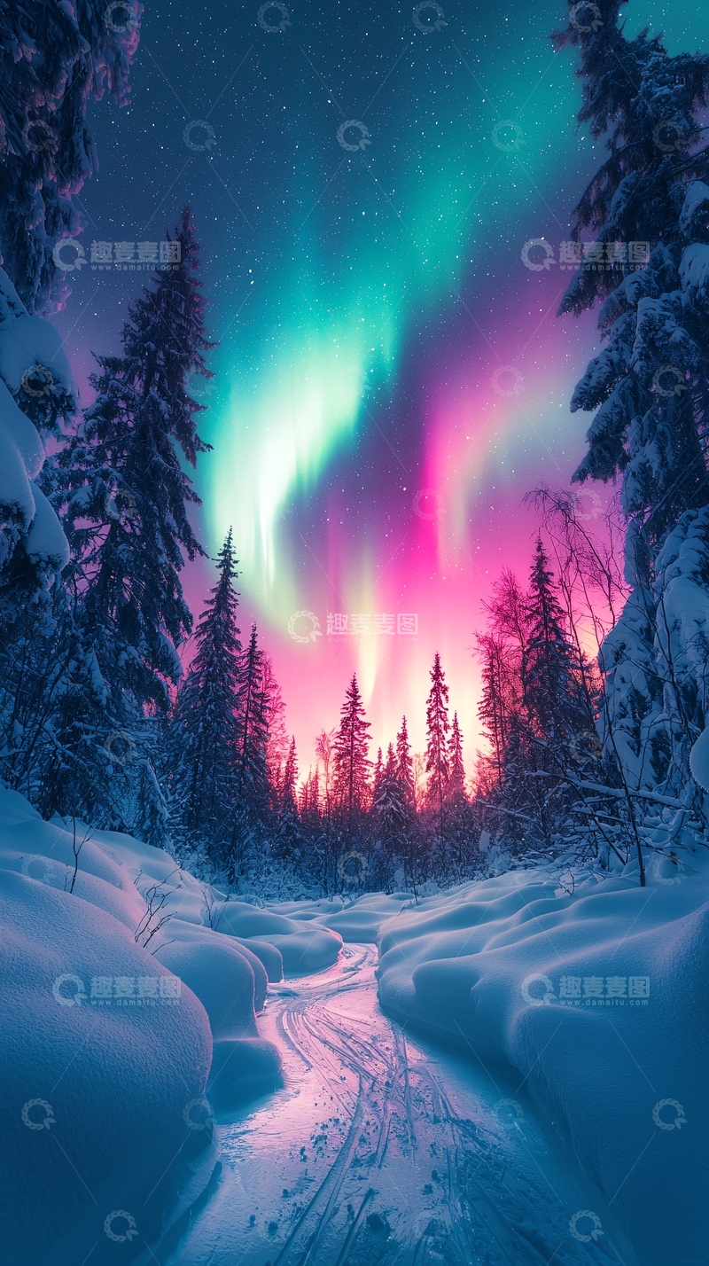 高清大图下载【趣麦麦图】绚烂极光下的雪地森林