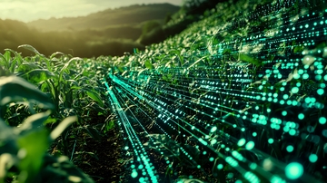 绿色田野科技感数据流