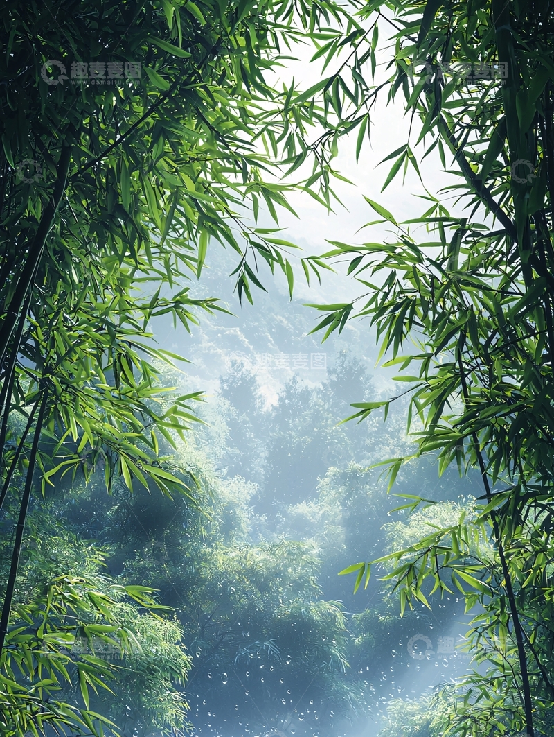 高清大图下载【趣麦麦图】绿意盎然的竹林景观