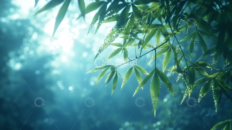 高清大图下载【趣麦麦图】清新竹叶光影梦幻背景