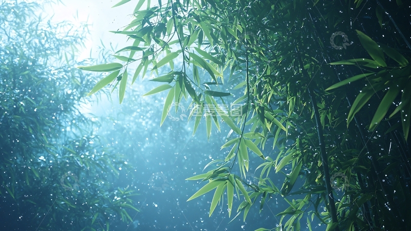 高清大图下载【趣麦麦图】光线穿过竹林