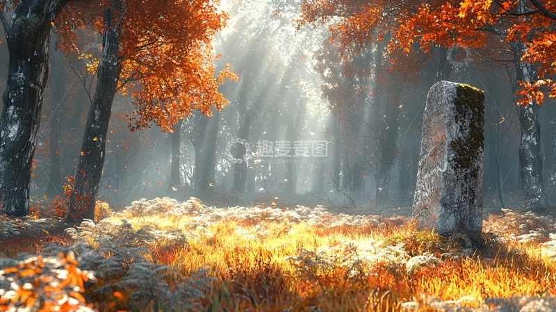 高清大图下载【趣麦麦图】秋日阳光洒在森林中