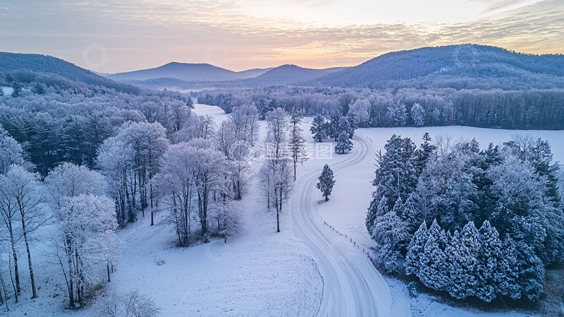 高清大图下载【趣麦麦图】雪覆盖的树林