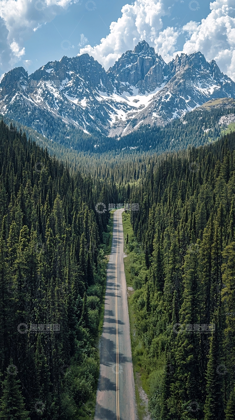 高清大图下载【趣麦麦图】森林道路通向雪山