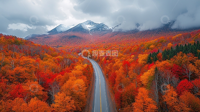 高清大图下载【趣麦麦图】秋季森林公路通向远山
