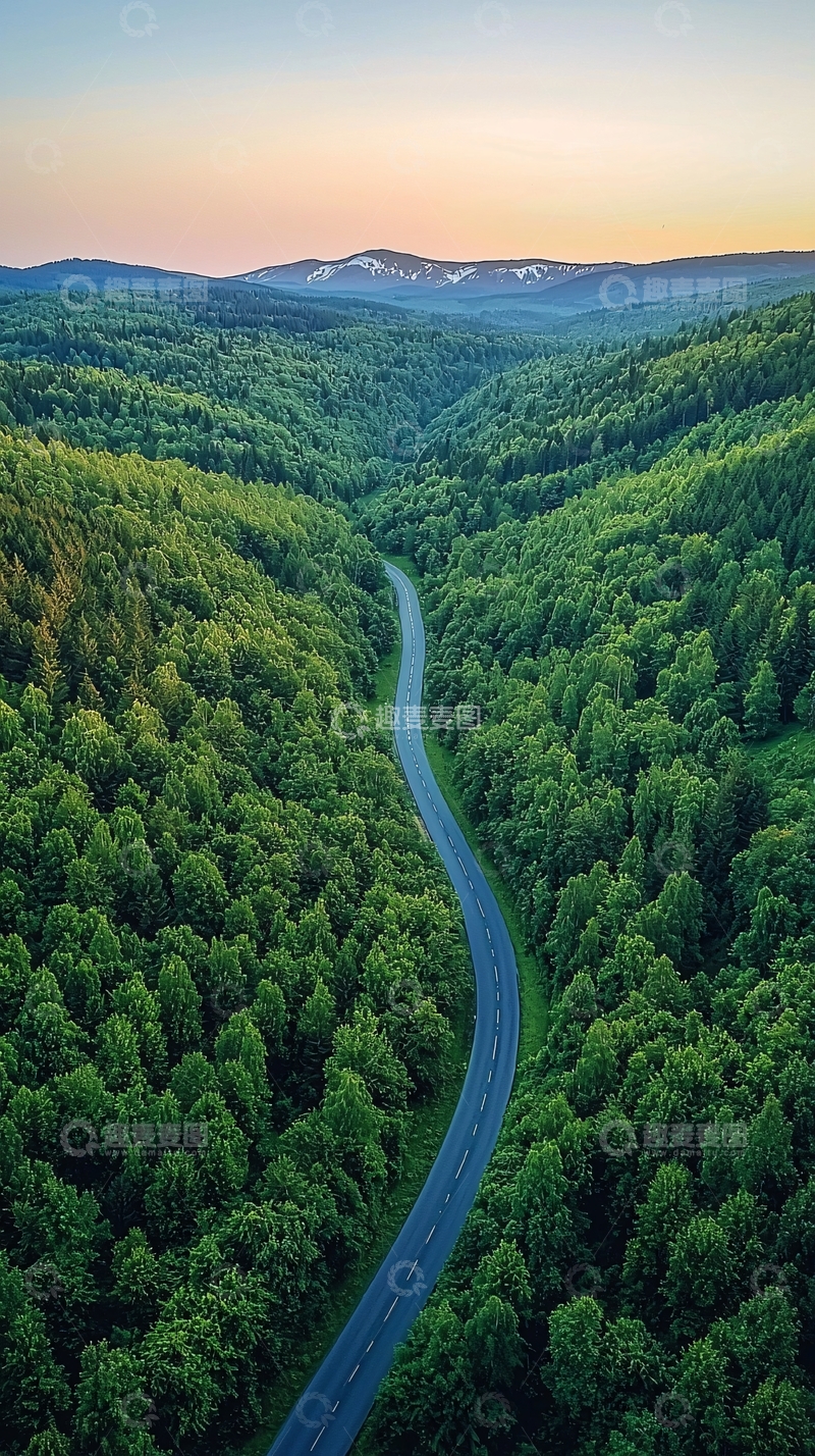 高清大图下载【趣麦麦图】蜿蜒穿过森林的道路