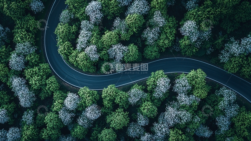 高清大图下载【趣麦麦图】蜿蜒公路穿梭森林