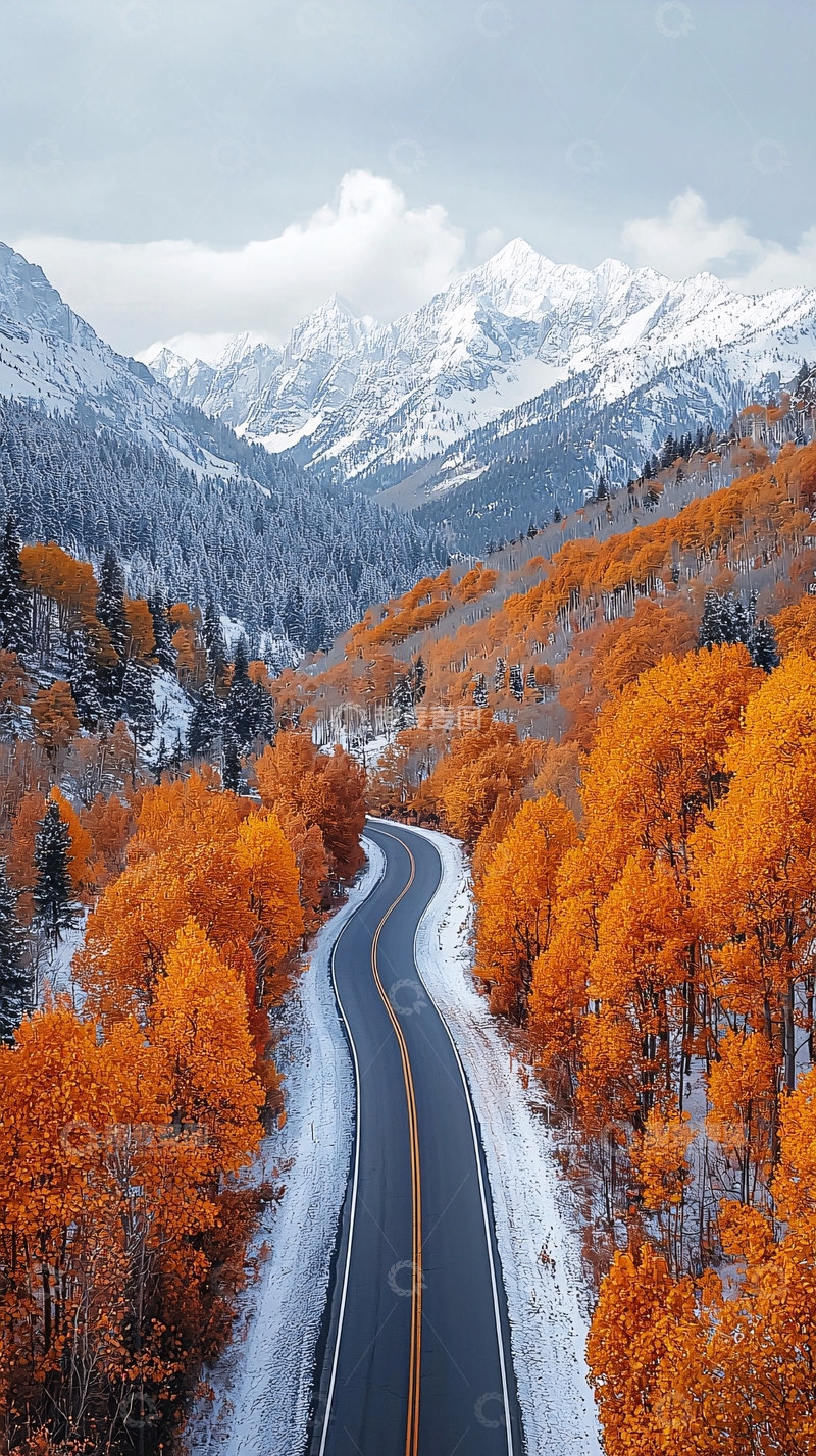 高清大图下载【趣麦麦图】山间公路两旁金秋树木