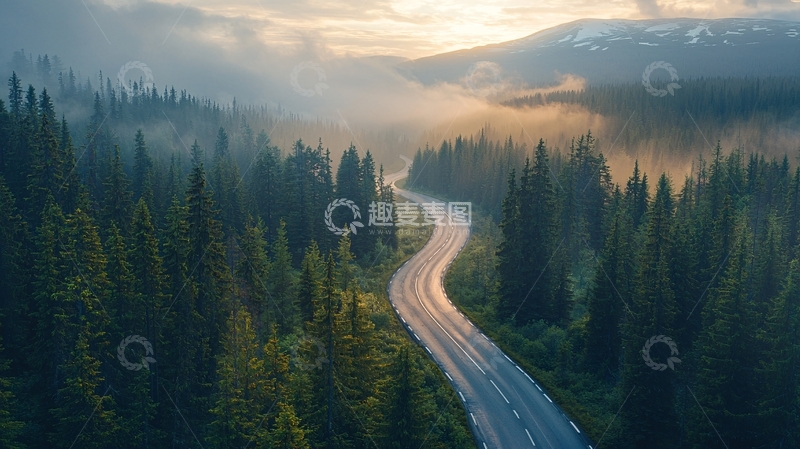 高清大图下载【趣麦麦图】森林中的蜿蜒道路