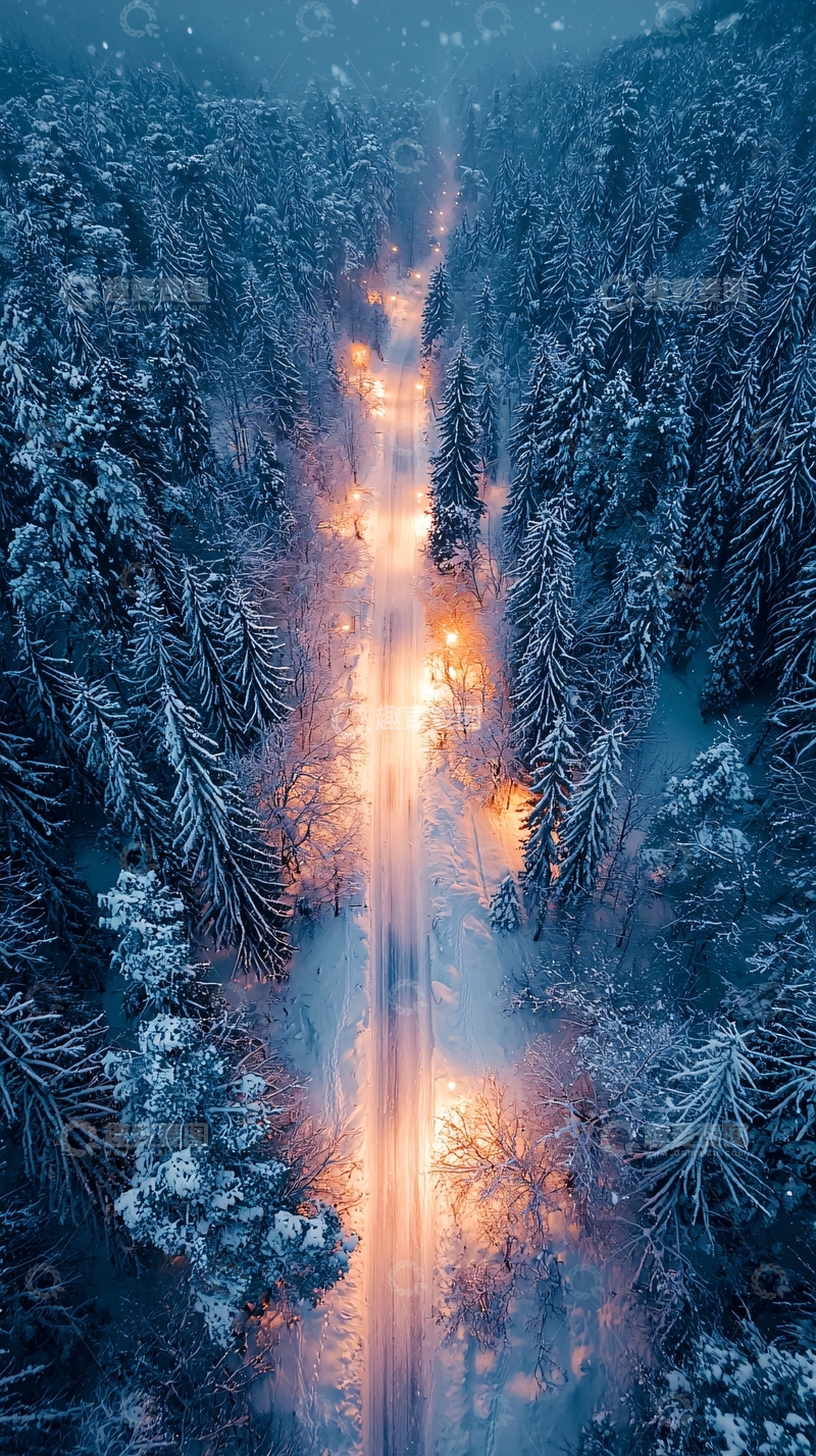 高清大图下载【趣麦麦图】雪夜森林中的小路