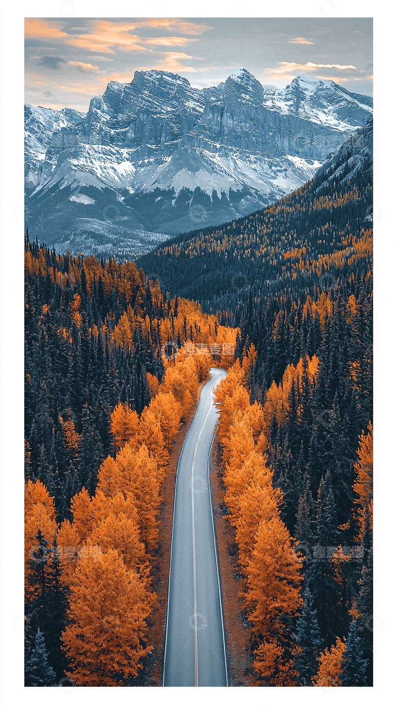 高清大图下载【趣麦麦图】秋色森林中的公路