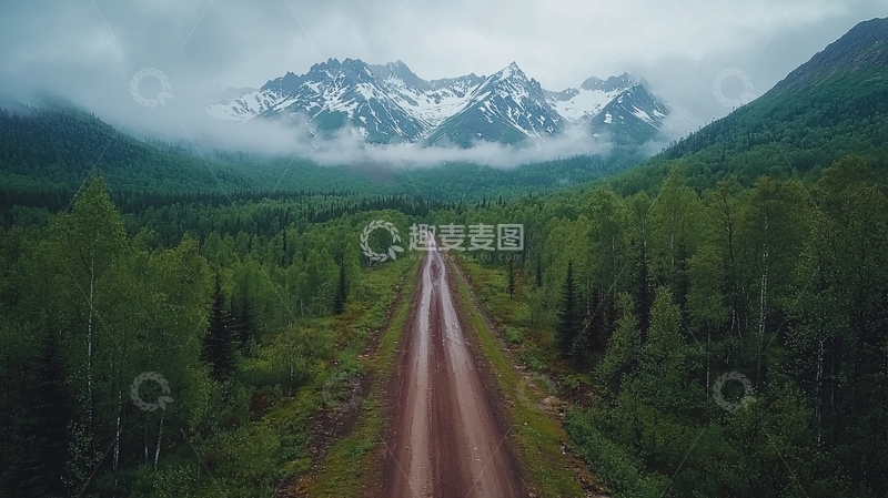 高清大图下载【趣麦麦图】原始森林中的道路通向雪山